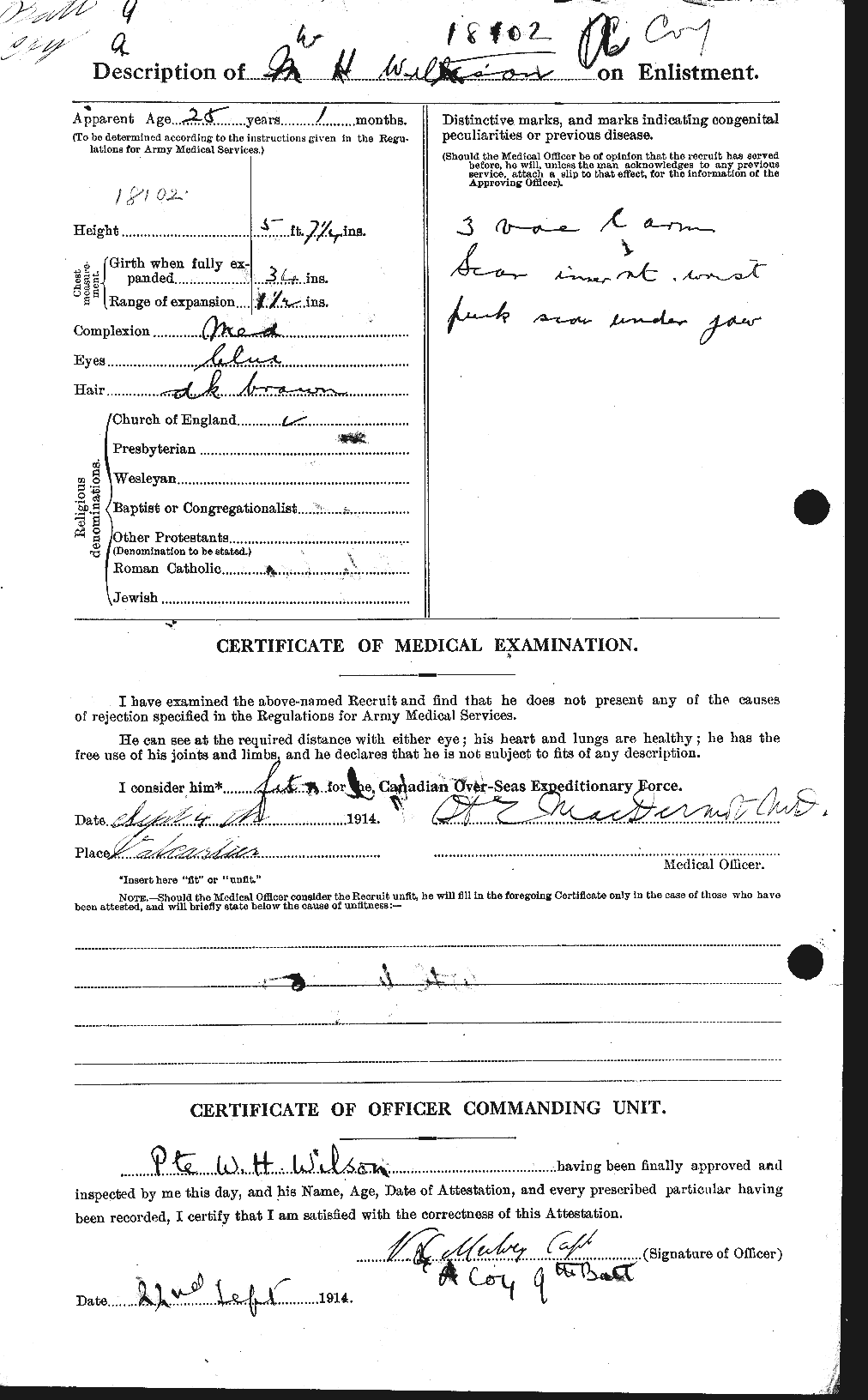 Personnel Records of the First World War - CEF 682008b