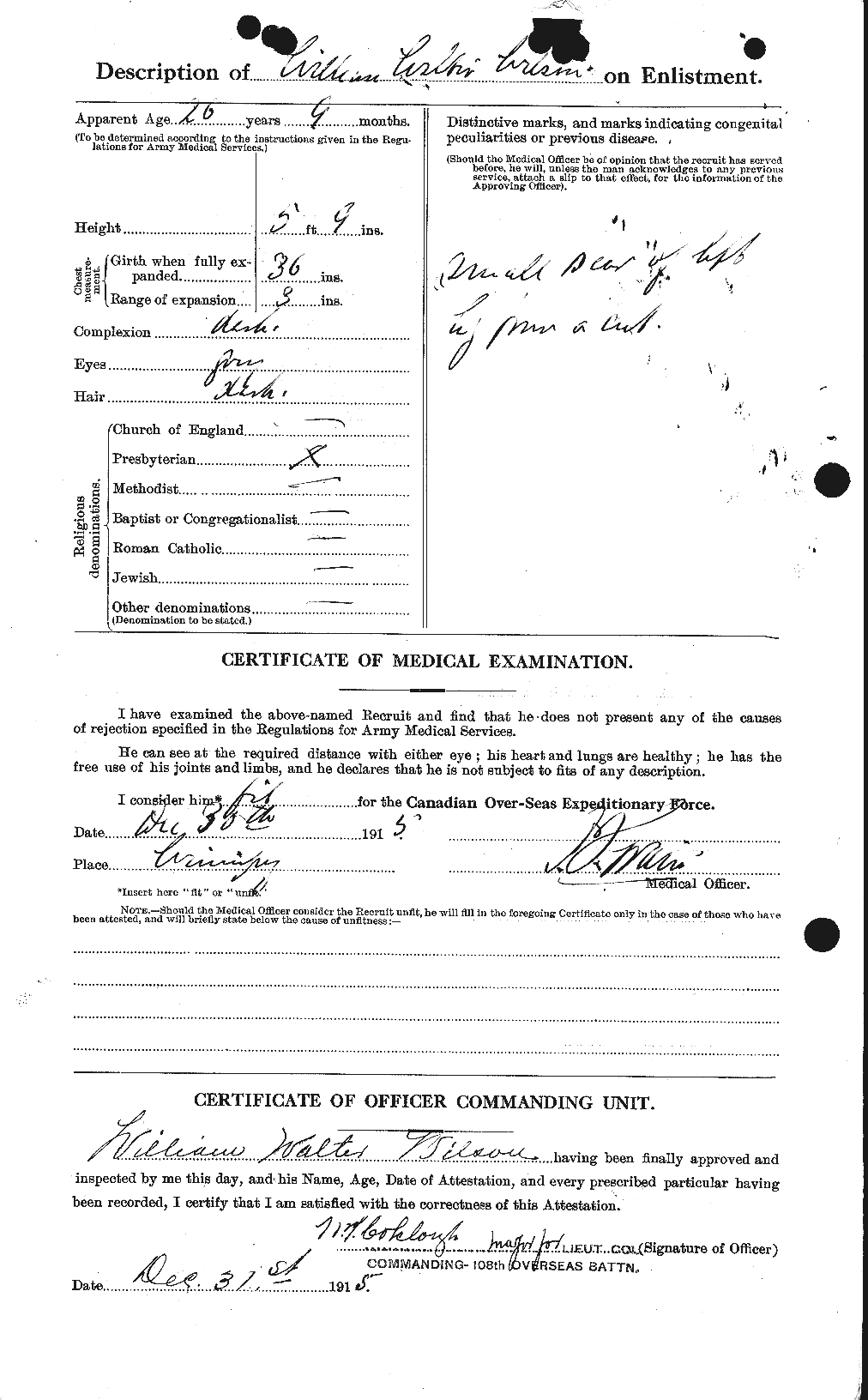 Personnel Records of the First World War - CEF 684117b