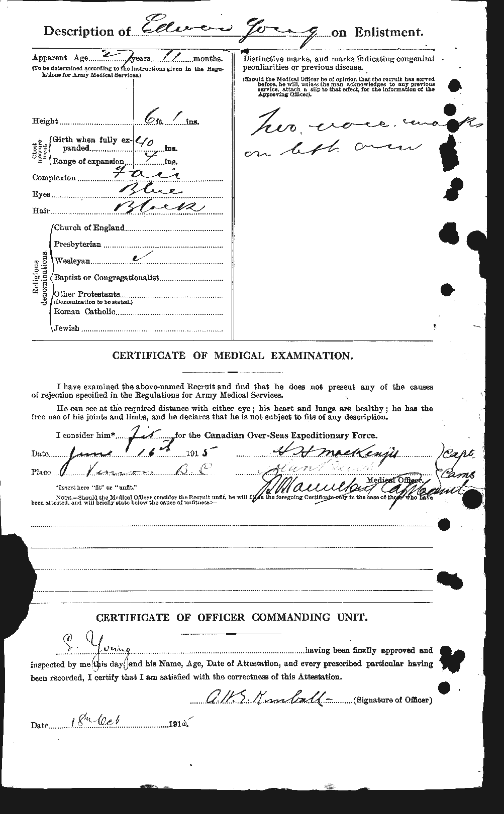 Personnel Records of the First World War - CEF 690233b