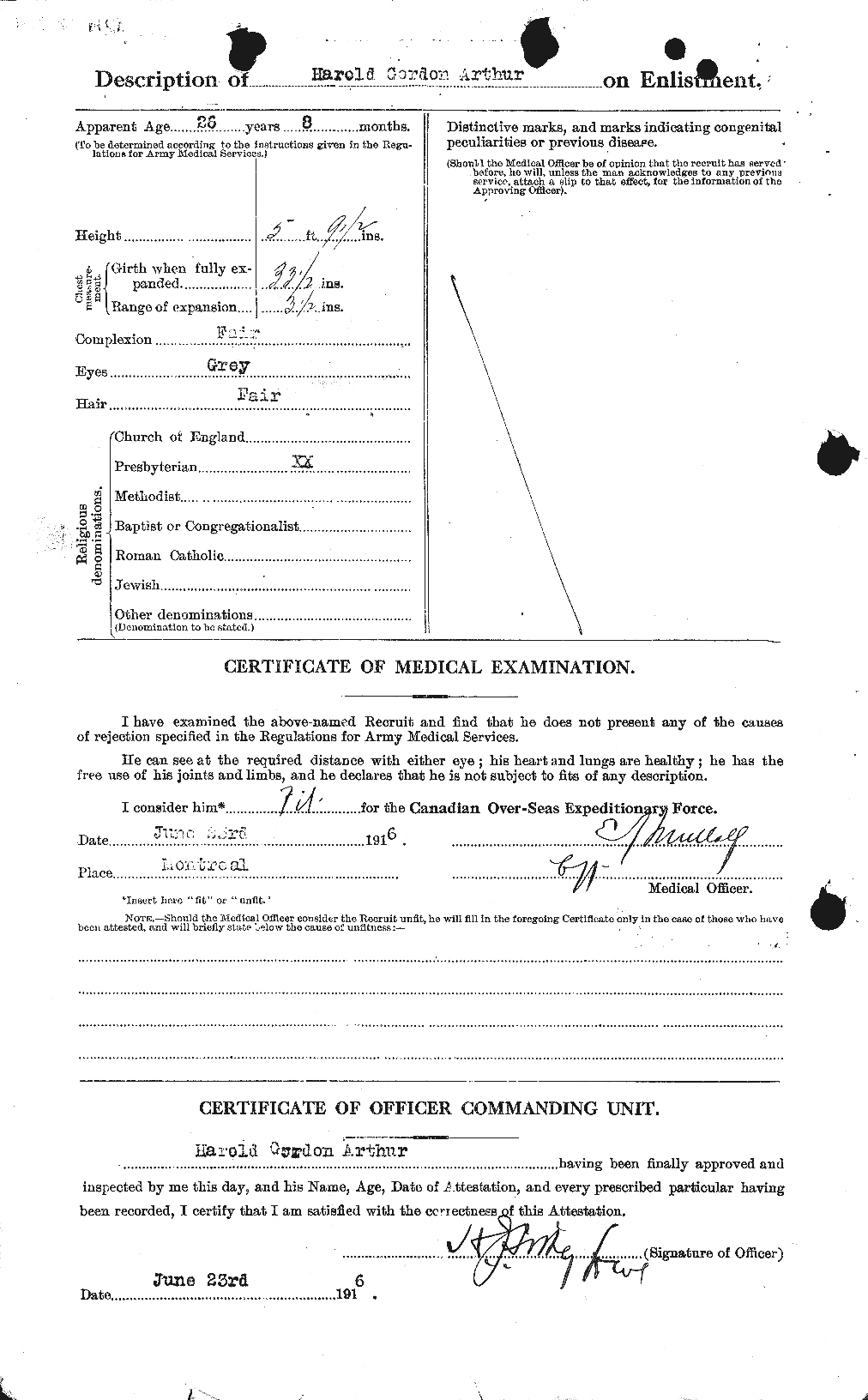 Personnel Records of the First World War - CEF 690900b