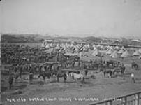 Durban Camp. right Australians. June 1902