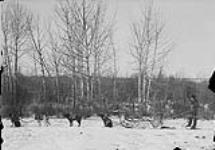 [Exploratory Survey between Great Slave Lake and Hudson Bay, Districts of Mackenzie & Keewatin.] Dog team and carry-all, Fort Chipewyan, Alta