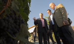 [Prime Minister Stephen Harper, MP Dan Albas and MP Ron Cannan look walk through the vineyard prior to a barbecue at the Quail's Gate Estate Winery in Kelowna, British Columbia] 13 September 2013