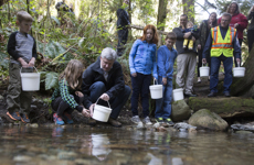 [Prime Minister Stephen Harper helps release salmon fry into the stream during his tour of the Mossom Creek Hatchery in Vancouver, British Columbia] 7 April 2015