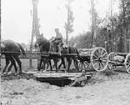 Artillery crossing the bridge (Royal Canadian Horse Artillery). June, 1916 June, 1916