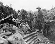 Repairing Trenches. 22nd Infantry battalion (French Canadian). July, 1916 July, 1916