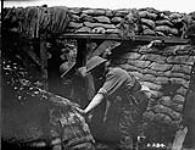 Repairing trenches. 22nd Infantry battalion (French Canadian). July, 1916 July, 1916