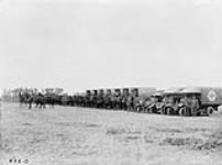 Horse Ambulance (No. 3 Field Ambulance). July, 1916 July, 1916