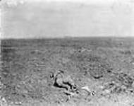Le champ de bataille suite à une sortie canadienne October, 1916.
