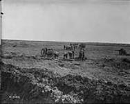 33rd Battery, Canadian Field Artillery, bringing up the guns. Vimy Ridge, April, 1917 Apr., 1917