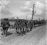 German prisoners carrying wounded past pack mules loaded with ammunition - Vimy Ridge - April, 1917 April, 1917.