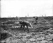 Canadian troops keep the graves of their comrades fallen at Vimy, in repair. June, 1917 June, 1917.