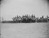 Canadian Cavalry in training in France. August, 1917 Aug., 1917.
