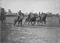 Canadian sports behind the line. Start of mule race. September, 1917 Sep., 1917.