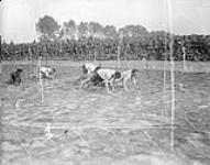 Going through the wire in obstacle race.(Canadian Championship Athletic Meet in France, 1917) September, 1917 Sep., 1917.