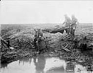 Wounded Canadians on way to aid-post. Battle of Passchendaele. November, 1917 1917