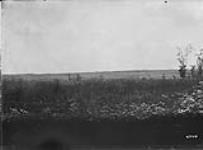 Distant view of St. Eloi Oct., 1917