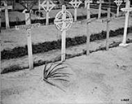 Grave of Sergt. Gray. [and others] [124654 - 58th Battalion] July, 1918 July 1918.