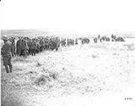 Prisoners captured by 22nd Battalion. Advance East of Arras August 1918.