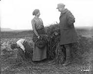 French woman who was imprisoned for two months by the Germans, gleaning near a rick. October, 1918 Oct., 1918