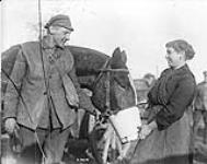 (Belgian) A Belgian girl gives Canadian Artillery horse a drink. November, 1918 November 1918.