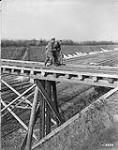 A Canadian helps an old French woman across a bridge built by Canadian Engineers. November, 1918 November 1918.