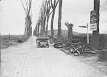 Canada corner near Locre Apr. & May 1919