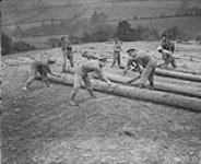 Canadian Forestry Corps at work. (Windsor Park) 1914-1919