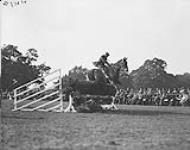 (Horses) Scenes at the 5th Canadian Divisional Sports held at Witley, October 1917 1914-1919