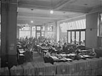 Groups taken at Estates Office, 133 Oxford Street London 1914-1919