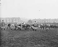 (Rugby - Football) Views of final rugby match between Witley and Bexhill O.T.C 1914-1919