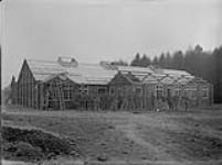 Views of the Y.M.C.A. at Bramshott Camp 1914-1919