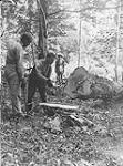 Canadian Forestry Corps in England: A necessary operation after the fall 1914-1919