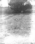 Grave of Sergt. Bailey in England, Brookwood Cemetery 1914-1919