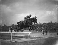 (Horses) Pair Horse Riding Competition Italian Prize-winning pair taking last obstacle together. Inter-Allied Games, Pershing Stadium, Paris, July 1919 1919.