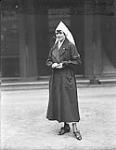 Sister H.H. MacDonald, R.R.C., Bushey Park Hospital 1914-1919