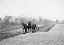 Plowing Honeywell Farm in Britania March, 1910.