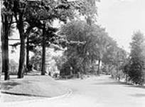 Driveway near Apostolic Delegate's residence [ca. 1911].
