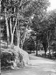Rockcliffe Park [between 1911-1914].
