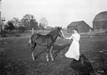 Mrs. Vallean and foal n.d.