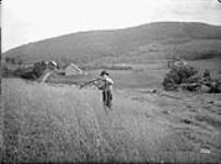 Cutting oats on hillside, Bolton Glen, P.Q 1912.