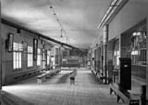 Main Hall, Government Immigration Sheds [ca 1911].