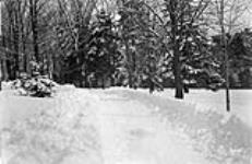 Winter on the Driveway 1913.