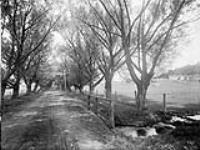Willowdale Ave 1912.