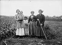 Three First Nation women, a young girl and infant standing in a potato field, Woodstock, New Brunswick, unknown date n.d.