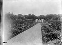 The garden - Haddo 1912.