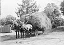 Load of Hay (W.E. Clarkson) October, 1913.