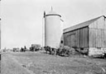 Drawing corn to silo, Ed. Adams' farm, Dundas Rd., near Woodstock October, 1913.