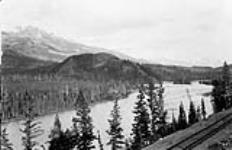 Looking up Athabasca River, Jasper Park, Alta 1914.