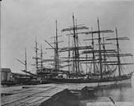 Loading lumber on ships 1868-1923